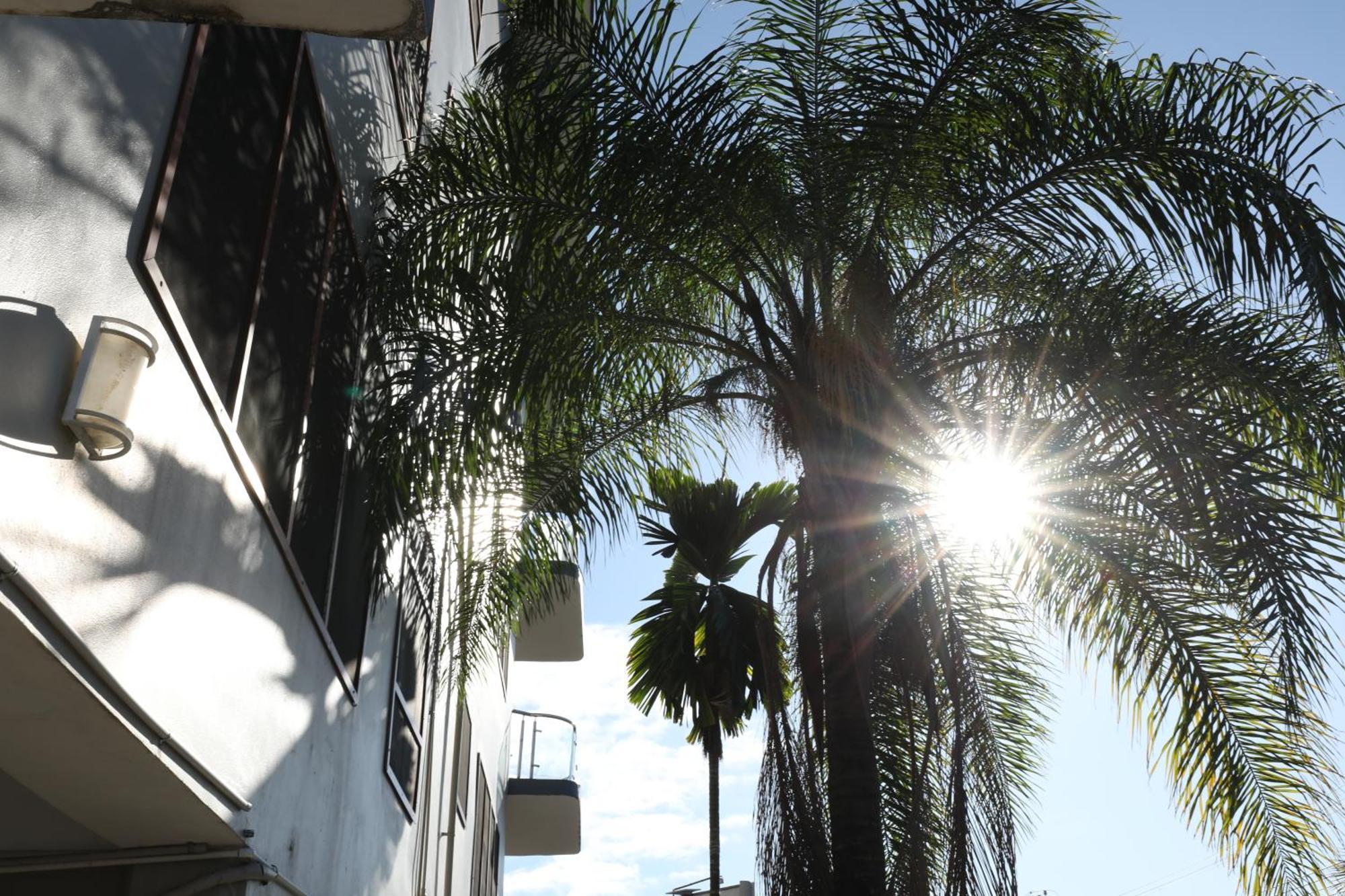 Tropical Plaza Apt Nadi Esterno foto